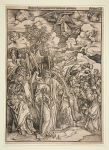Copy after Durer