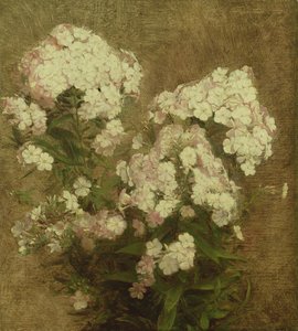 Phlox by Ignace Henri Jean Fantin Latour