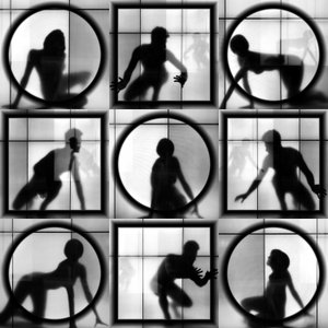 Dynamic Grid Silhouettes by Igor Shrayer