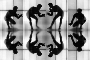 Dynamic Silhouettes Reflected