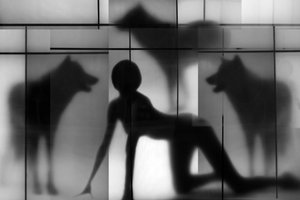 Woman and Wolf Shadows