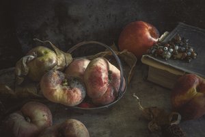 Moody Autumn Fruit