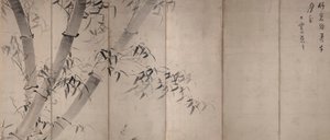 Moonlight Bamboo