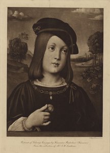 Portrait of Federigo Gonzaga