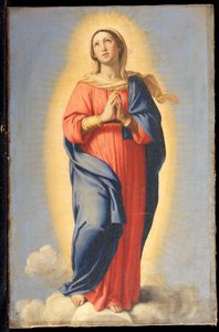 The Immaculate Conception