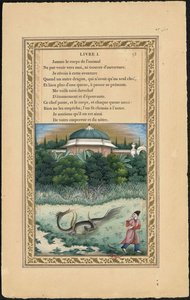 The Dragon with Several Heads and the Dragon with Several Tails