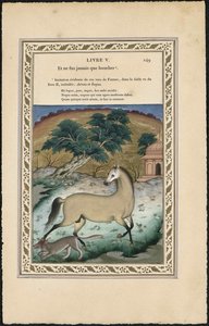 The Horse and the Wolf by Imam Bakhsh Lahori