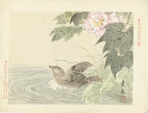 Bathing Bird by Pink Flower (Bloemen- en vogelschetsen van Keinen) by Imao Keinen