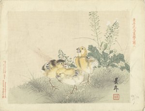 Three Chicks (Flower and Bird Sketches by Keinen) by Imao Keinen