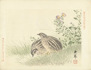Two Quails by Imao Keinen