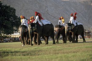 Men Playing Elephant Polo by Indian Photographer