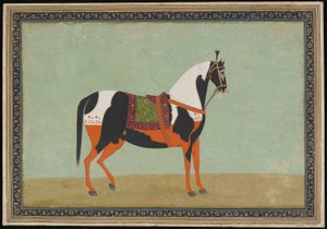 A Horse by Indian School