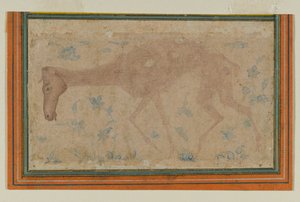An Emaciated Horse by Indian School