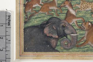 (detail) The Jackal who Pronounced Himself King