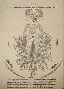 Diagram showing meridian points on the human body by Indian School