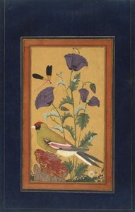 Finch, Poppies, Dragonfly, and Bee by Indian School