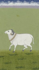 Ram with Golden Collar by Indian School