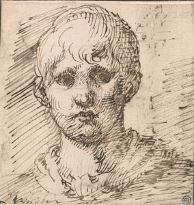 Head of a Boy by Inigo Jones