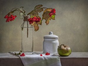 Autumn Berries And Apple