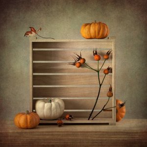 Autumn Harvest Still Life