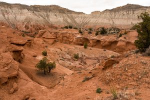 A landscape at Kodachrome Basin State Park, Utah, 2019