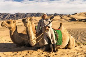 A woman taking a rest with camels in the South Gobi Desert, Mongolia by Ira Block