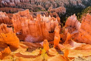 Sunrise on Hoodoos in Bryce Canyon National Park