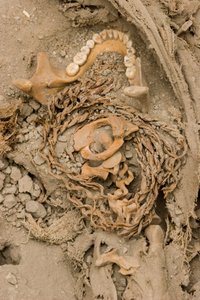 The remains of the female sacrifice by Ira Block