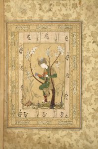 Youth Seated in the Fork of a Blossoming Tree, 1560s by Iranian Master