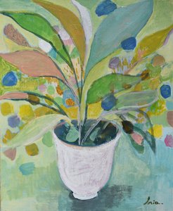 Colorful Potted Plant by Iria Fernandez