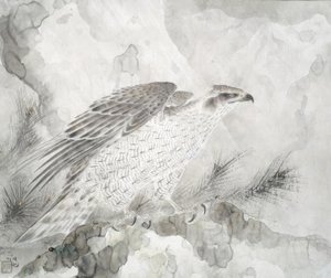 Hawk by Irie Hako