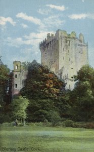Blarney Castle, Cork by Irish Photographer
