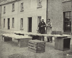 Making Clay Pipes, Drogheda by Irish Photographer