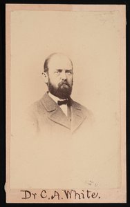 Portrait of Charles Abiathar White 1826-1910, 1868 by Isaac Augustus Wetherby
