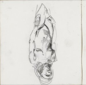 Standing Female Nude
