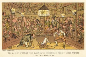 Tom and Jerry Sporting Their Blunt on the Phenomenon Monkey, Jacco Macacco, at the Westminster Pit