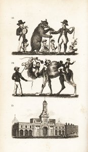 Dancing Bear and Dog, Camel and Monkey and the Royal Exchange by Isaac Taylor