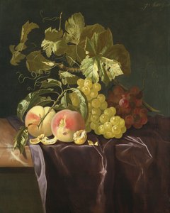 Still Life of Fruit, Nuts and Leaves on Velvet Cloth by Isaak Denies