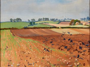 Ploughed Field by Isabel Codrington