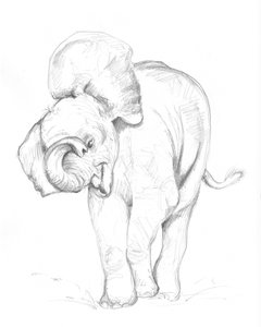 Baby Elephant 02