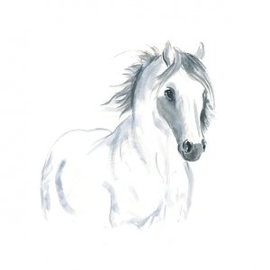 Horse in Movement Study