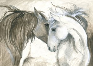 Tender Connection Between Two Horses