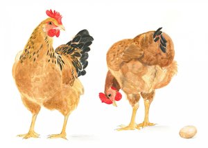 The Egg and Two Hens