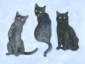 Study of Three Cats