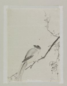 Bird on a Branch of a Cherry Tree by Ishikawa Kazan