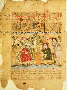 Scene from the Treatise of Theriac after Galen, 1217 by Islamic School
