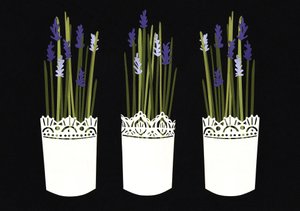 Lavender pots, 2014 by Isobel Barber