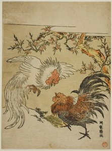 Cocks Fighting Under a Tree