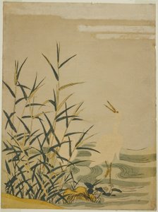 Egrets in the Reeds