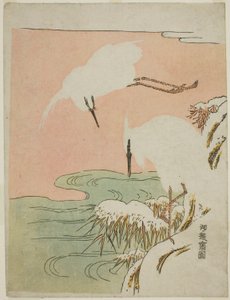 Two Egrets in the Snow